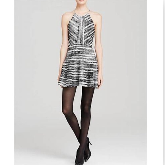 EUC PARKER Orion Print Mesh Silk Stripe Fit & Flare Dress Size S - Picture 2 of 9